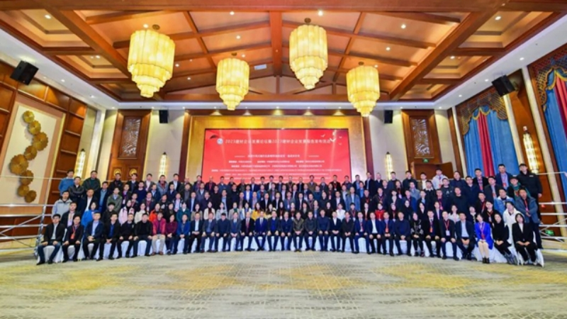 مواد البناء وأنشطة إصدار تقرير تطوير المؤسسة